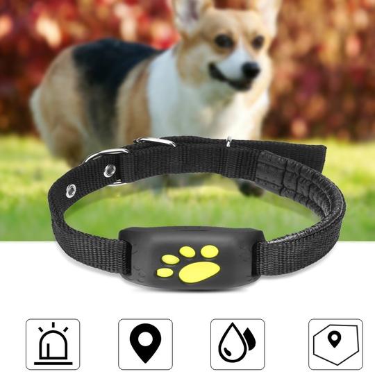 Smart GPS Pet Tracker - Real-time Location